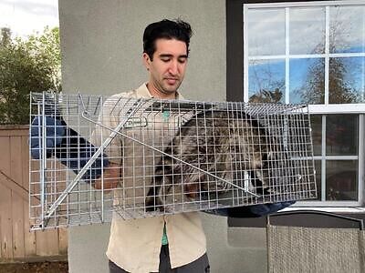 Annapolis pest control